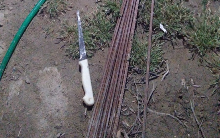 Estaba ebria y amenazó con matar a su hijo de 9 años con un cuchillo