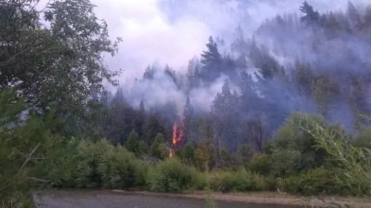 El Hoyo: alrededor de 105 brigadistas trabajan intentando sofocar las llamas