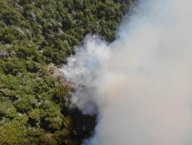 Alerta por un nuevo incendio, esta vez en el Parque Nacional “Los Alerces”