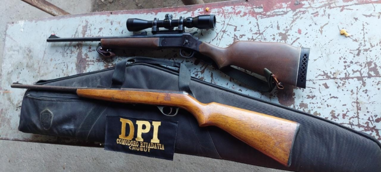 Secuestraron armas de fuego y municiones en dos allanamientos