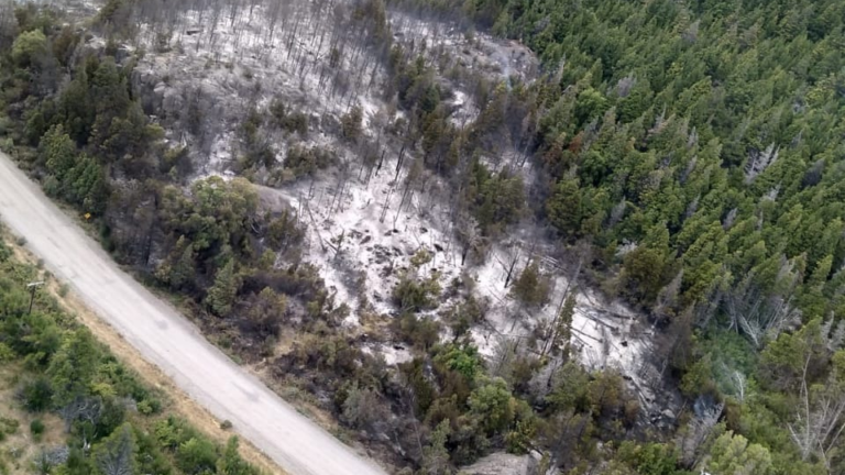 Se desplegó un enorme operativo para controlar el incendio en “Los Cipreses”