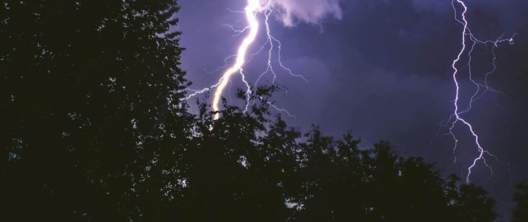 Cayó un rayo en medio de un predio y partió un árbol en dos