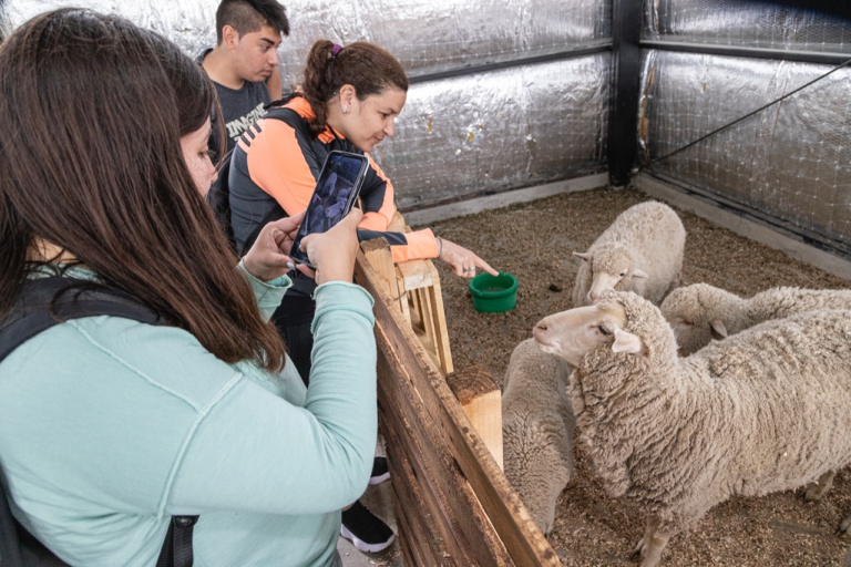 “Turistas por un Día”: visitaron chacras de productores en Km. 17