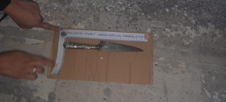 Acosó a una mujer, intervino la Policía y los atacó con un cuchillo