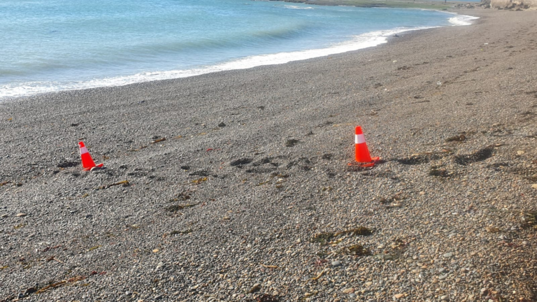 Vecinos denuncian hace meses no poder acceder libremente a la playa de Km. 3