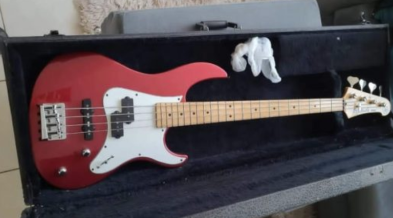 Le robaron instrumentos de muy alto valor a un músico comodorense