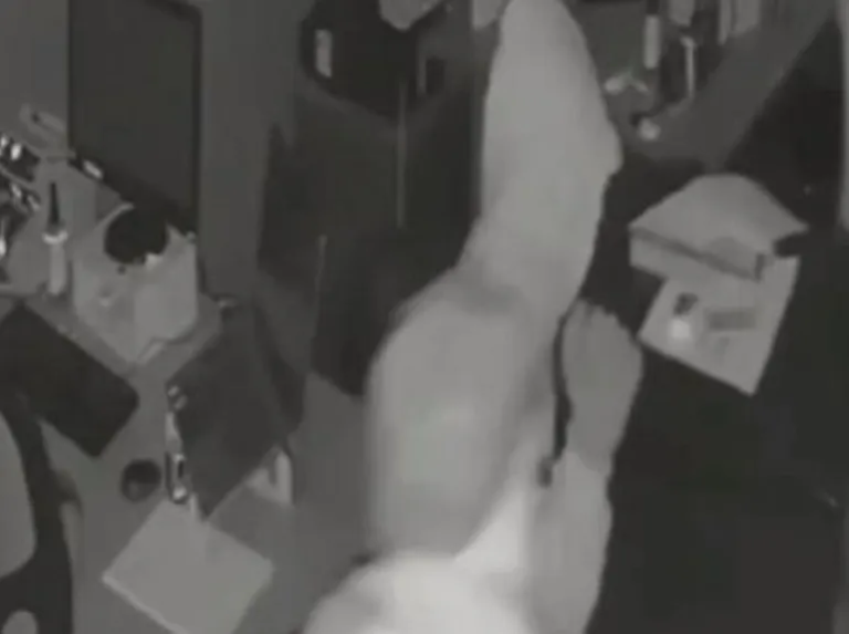 Robo millonario: realizaron un golpe comando en menos de 3 minutos