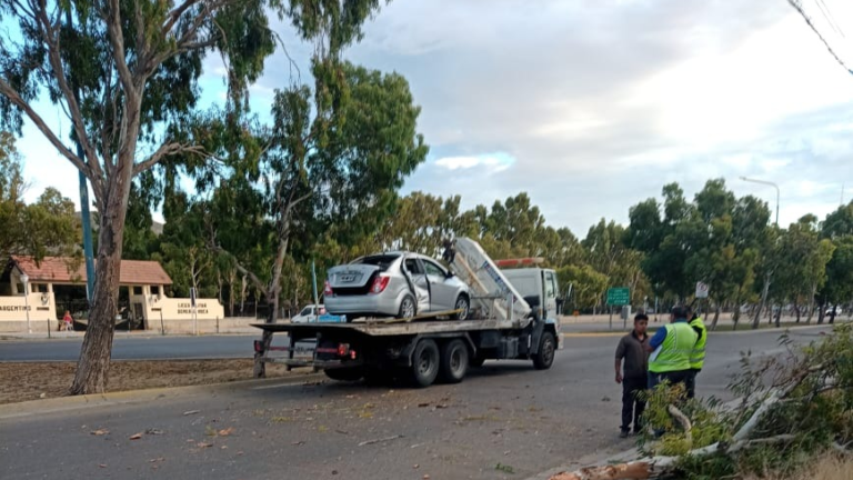 Chocó contra un árbol y volcó: la alcoholemía le arrojó 2.47 g/l