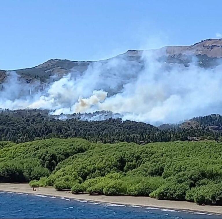 Incendio en Parque Los Alerces al menos 13 hectáreas afectadas