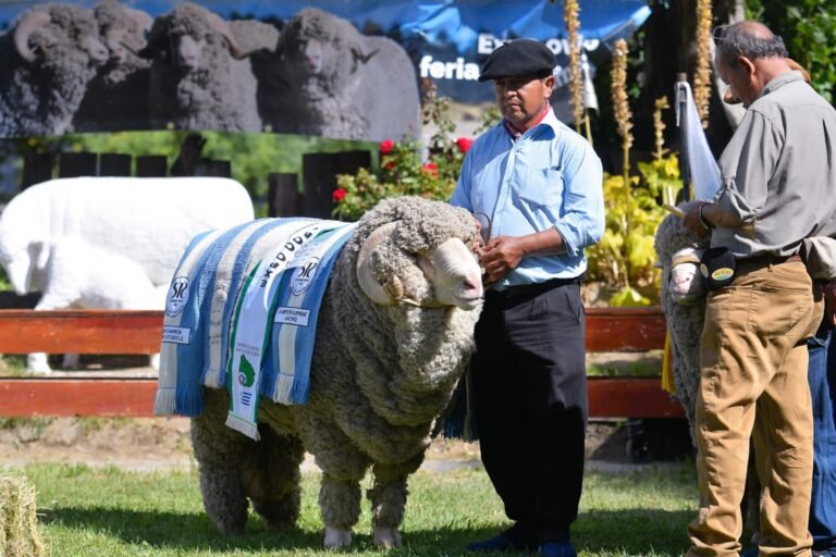 Anunciaron una línea de créditos de $200 millones para productores bovinos