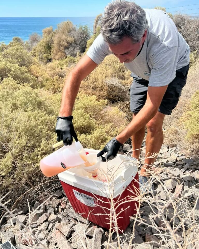 Abren una investigación penal de oficio por vertido de afluentes al mar en parque pesquero