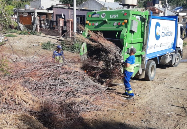 Detalle de recolección de residuos por feriado
