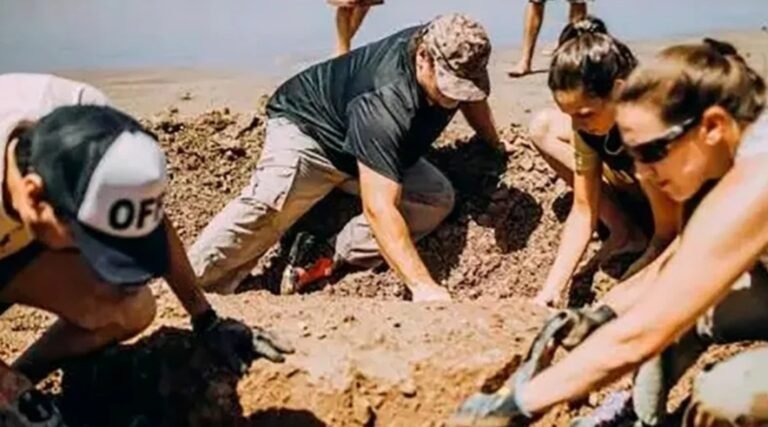 Una familia encontró los restos de dos gliptodontes gigantes de casi 3 millones de años