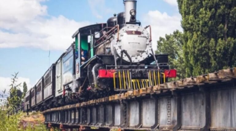 Yhosva Montoya y Q’ Lokura en la Fiesta Nacional del Tren a Vapor
