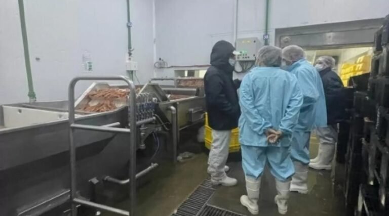 La AFIP detectó empresas pesqueras con un 40% de trabajadores no registrados