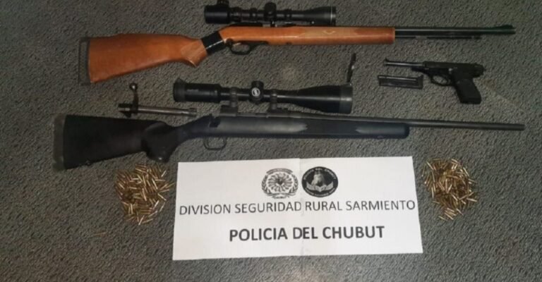 Secuestran armas de caza y carne de guanaco