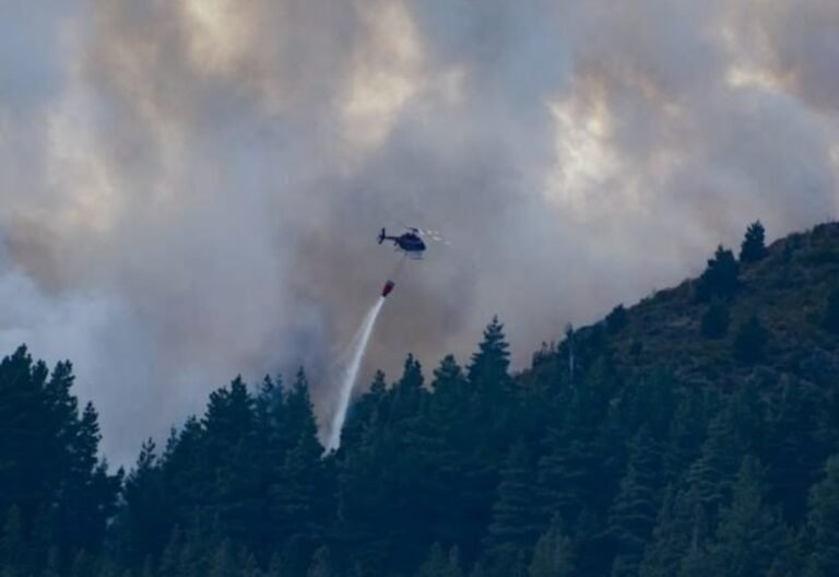 El Pedregoso: El incendio ya consumió 40 hectáreas y presumen que fue intencional