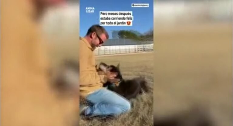 Adoptó al perro más viejo de un refugio para que no muriera solo y su historia conmovió a todos