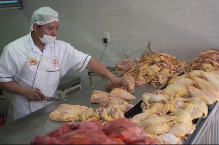 Confirmaron el primer caso de gripe aviar en aves de corral y suspendieron las exportaciones