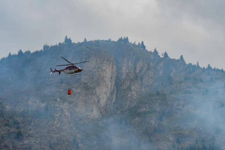 Lograron contener el incendio en cercanía al Parque “Los Alerces”