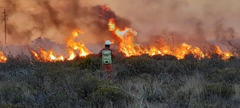 Un asado mal apagado habría sido el origen del incendio en Puerto Lobos