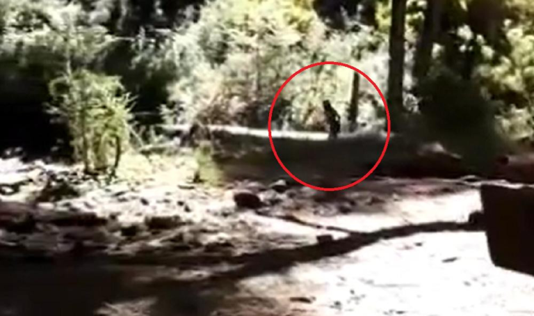 Un turista grabó un video en el que aparece un supuesto “duende”