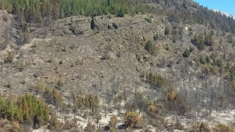 Brigadistas lograron contener el incendio en la zona de Epuyén