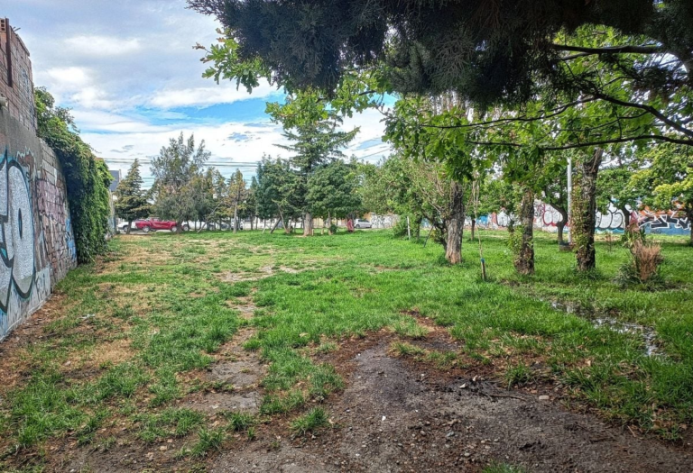 Vecinos del Pueyrredón se reunieron por la conservación de un espacio verde