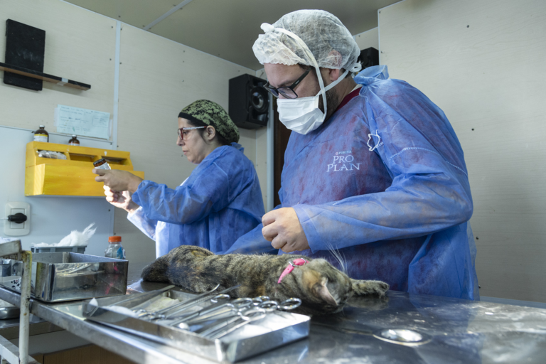 El servicio de esterilización canina y felina se encuentra en La Floresta