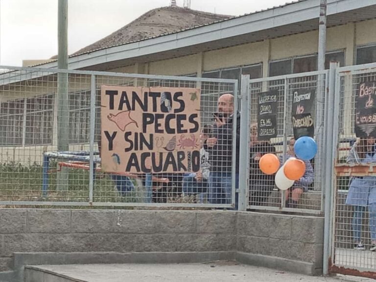 La comunidad del Colegio Biología Marina realizará una marcha