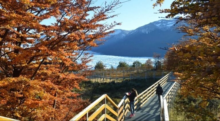 Estafan por más de 100 mil pesos tras ofrecer un alquiler falso