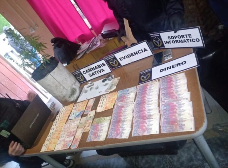 Vendía drogas a menores con un certificado de Reprocann trucho