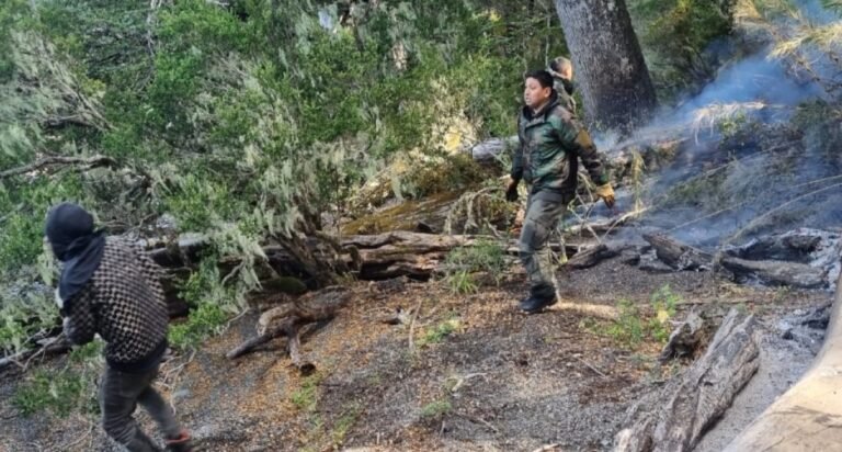 Detuvieron a dos narcos que provocaron un incendio en el Parque Nacional Lanín porque “estaban perdidos”