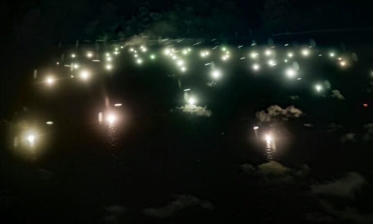 Cientos de pesqueros extranjeros sin regulación amenazan a especies marinas