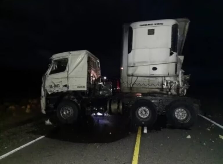 Reclamarán el exceso de velocidad de los camiones chilenos en rutas chubutenses