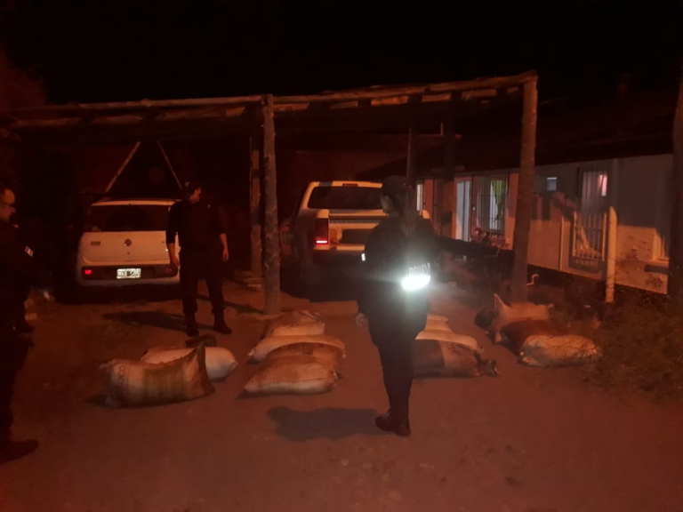 Fue detenido por robar 600 kilos de rosa mosqueta e intentar venderlos