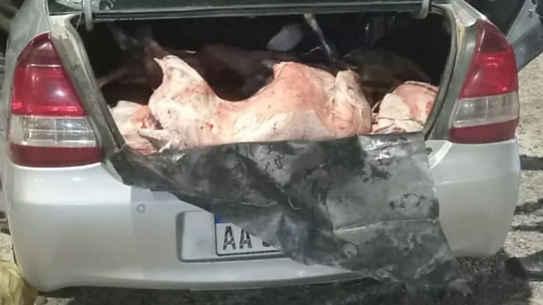 Trasladaba animales faenados, cuchillos y un rifle sin papeles