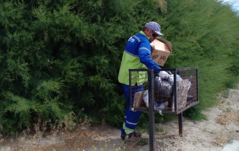 Cómo será el servicio de recolección este feriado nacional