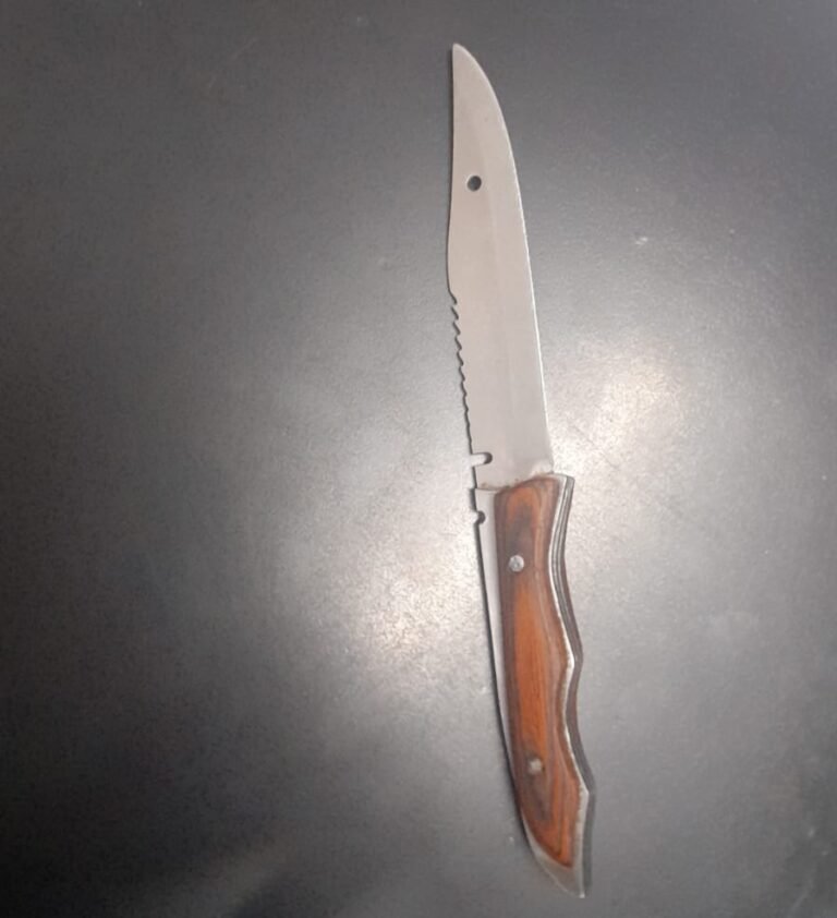 Llevaba un cuchillo, quiso pelear y la trasladaron a la Comisaría
