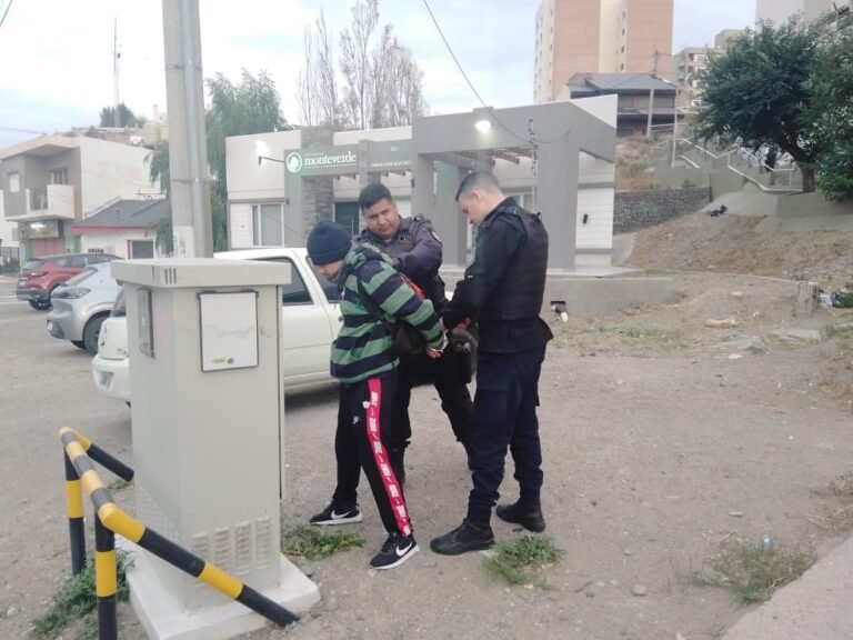 Detuvieron a un ladrón que robó en habitaciones del Hospital Regional