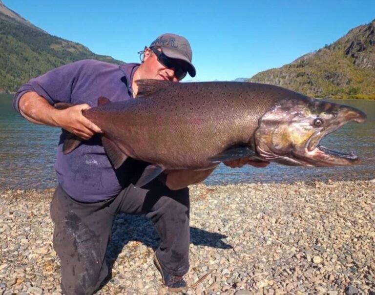 Lago Puelo: pescaron un salmón de 16 kilos