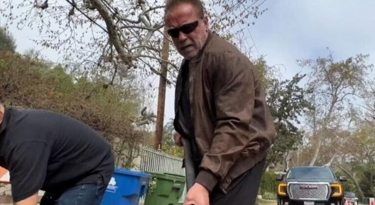 El Terminator de los baches: Arnold Schwarzenegger se hartó y salió a arreglar la calle