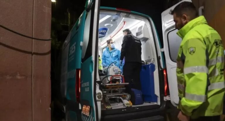 Nene de 11 años atacado por tres rottweilers: quedó en intensiva