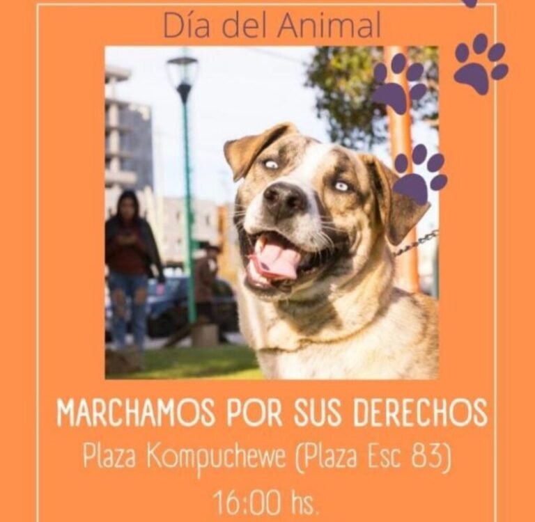 Día del animal harán una marcha para pedir que se cumplan sus derechos