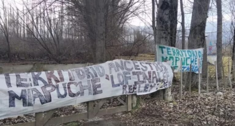 Usurparon un campo y atacaron con machetes a los propietarios