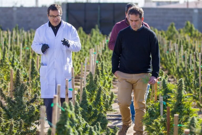Luque recorrió un emprendimiento que apunta a la producción de semillas y flores para cannabis medicinal