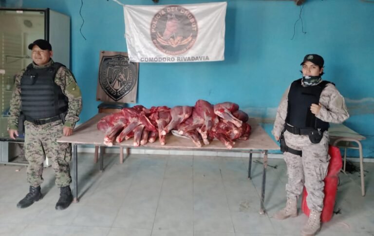 Fueron sorprendidos con cuatro guanacos depostados