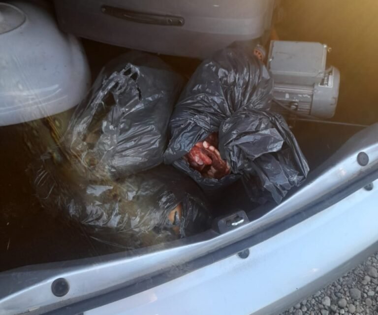 Llevaba en el baúl tres bolsas con carne de caballo