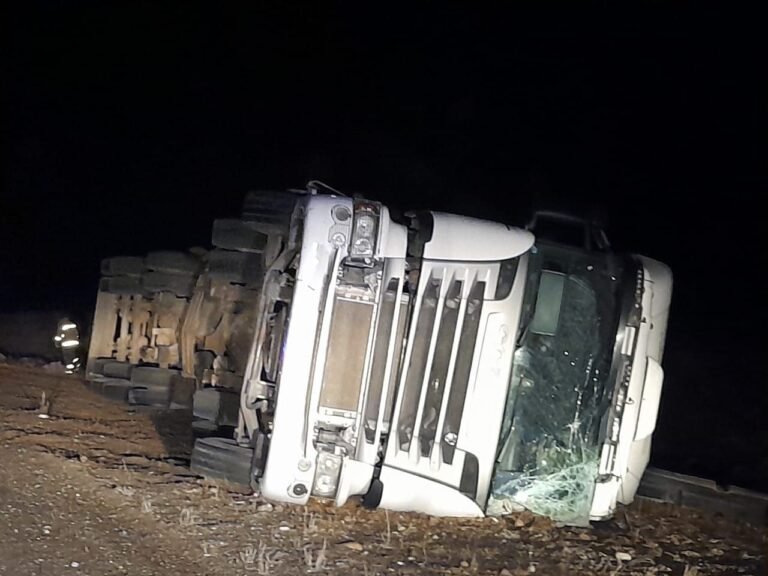 Volcó un camión con animales vacunos