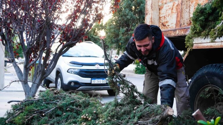 Temporada de poda: cómo es el servicio